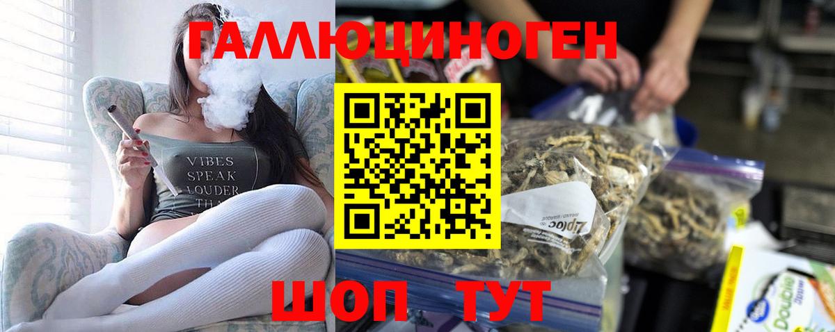 Галлюциногенные грибы мухоморы Лабинск