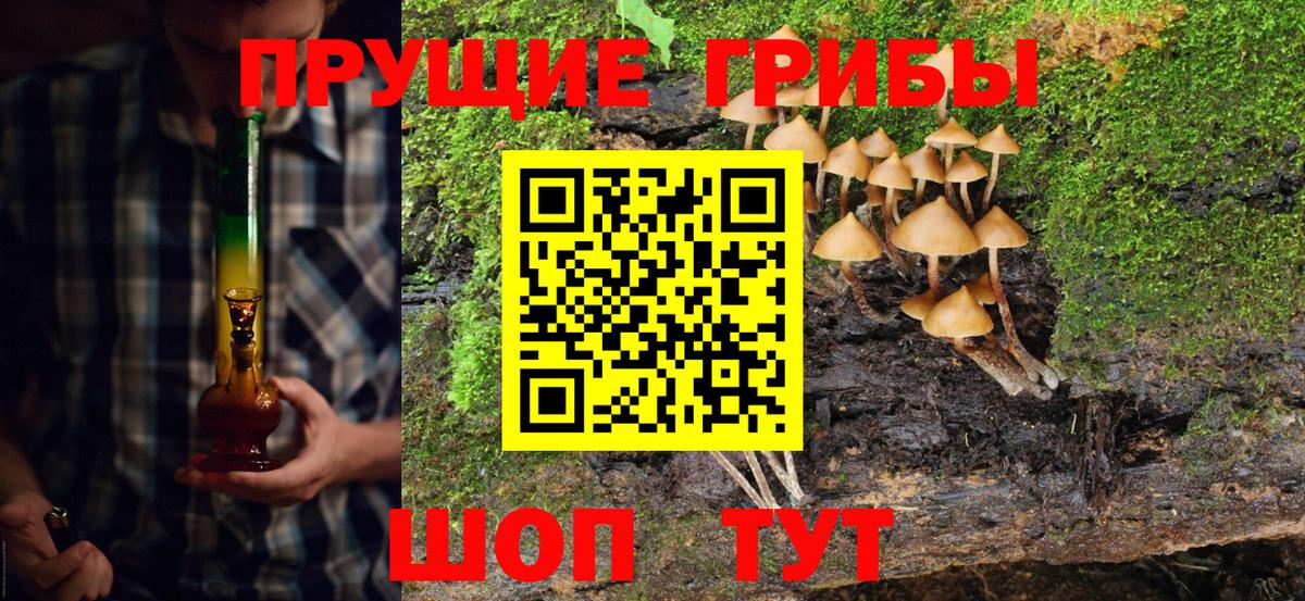 Лабинск  Галлюциногенные грибы MAGIC MUSHROOMS  купить наркотик  Вход с VPN 